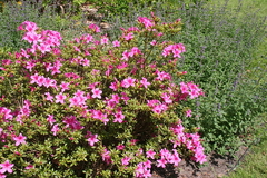 Killikus&reg; Fotographie